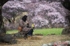 桃花园里