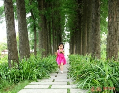 幸福其实很简单