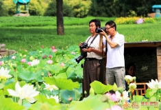 影人入荷塘