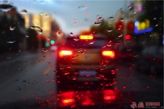 雨后随拍