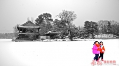 2016最后贴－拜拜2016