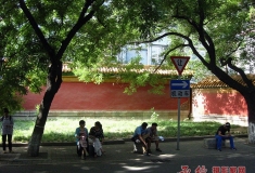 大树底下好乘凉