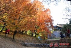 拍摄