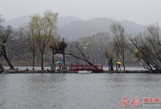 芝经云堤雪纷飞