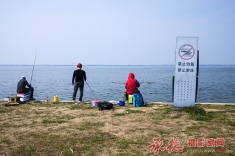 形同虚设