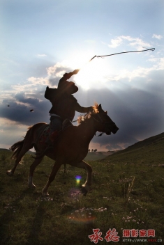 草原骑手