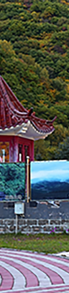 茅荆坝森林公园