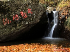 【大招旅游杯"】森林·温泉秋季摄影大赛之《醉好河源》
