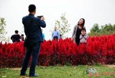 鲜花港湾留个影