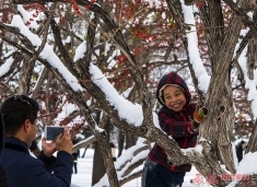 雪中乐趣