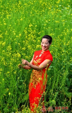 花海情歌