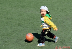 绿菌场上的小足球手