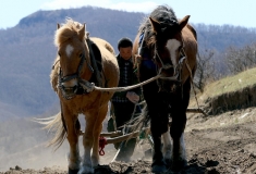 【2016人像摄影大赛】+耕耘