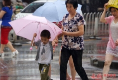 在雨中...