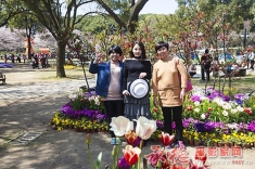 百花节纪实