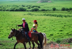 陪你一起看草原
