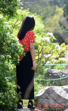 赏花
