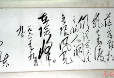 书法习练——无限风光在险峰