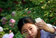 姑娘与牡丹