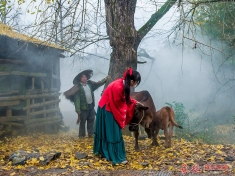 秋之恋—桂林海洋掠影（二）