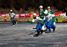 班迪球--赛场风云1、2、3