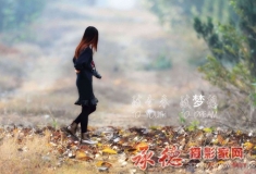 评析2015-48- 朦胧美的佳作