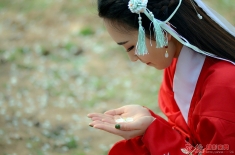 惜花