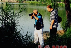 老摄手