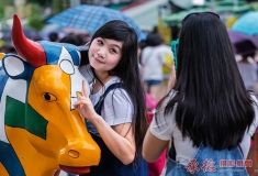 抓拍