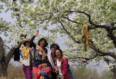 作业——人在春光里