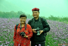 薰衣草庄园摄影活动
