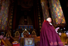 【2016人像摄影大赛】+法号齐鸣