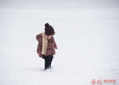 踏雪