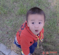发现----手机拍