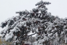 我在这儿留个影