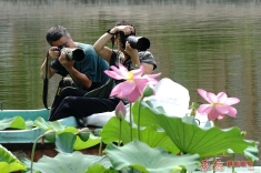 荷塘摄影人