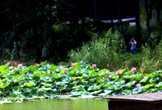 镜湖无蓬 船上玩自拍
