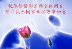 人像版块祝全体网友新年快乐，万事如意！
