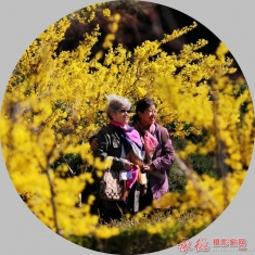 娘俩惜春