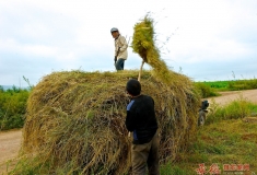 又是一年冬储时