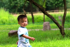 山庄抓拍