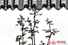2017.1精华帖展示