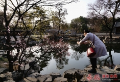 拿出手机拍一张