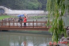 雨中游山庄，题目，雨中情，情侣请，母子情，尽在雨中...