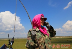 西部歌王民歌画解