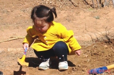 我给小树添点土
