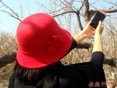 拍桃花