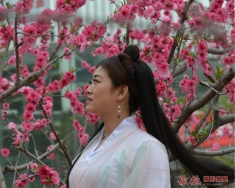 醉美桃花仙