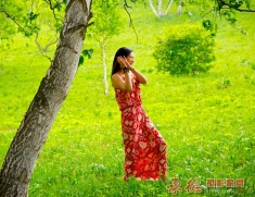 白桦林里传笑声