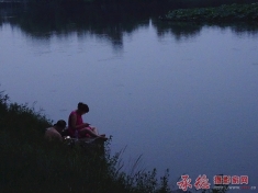 离宫傍晚好乘凉